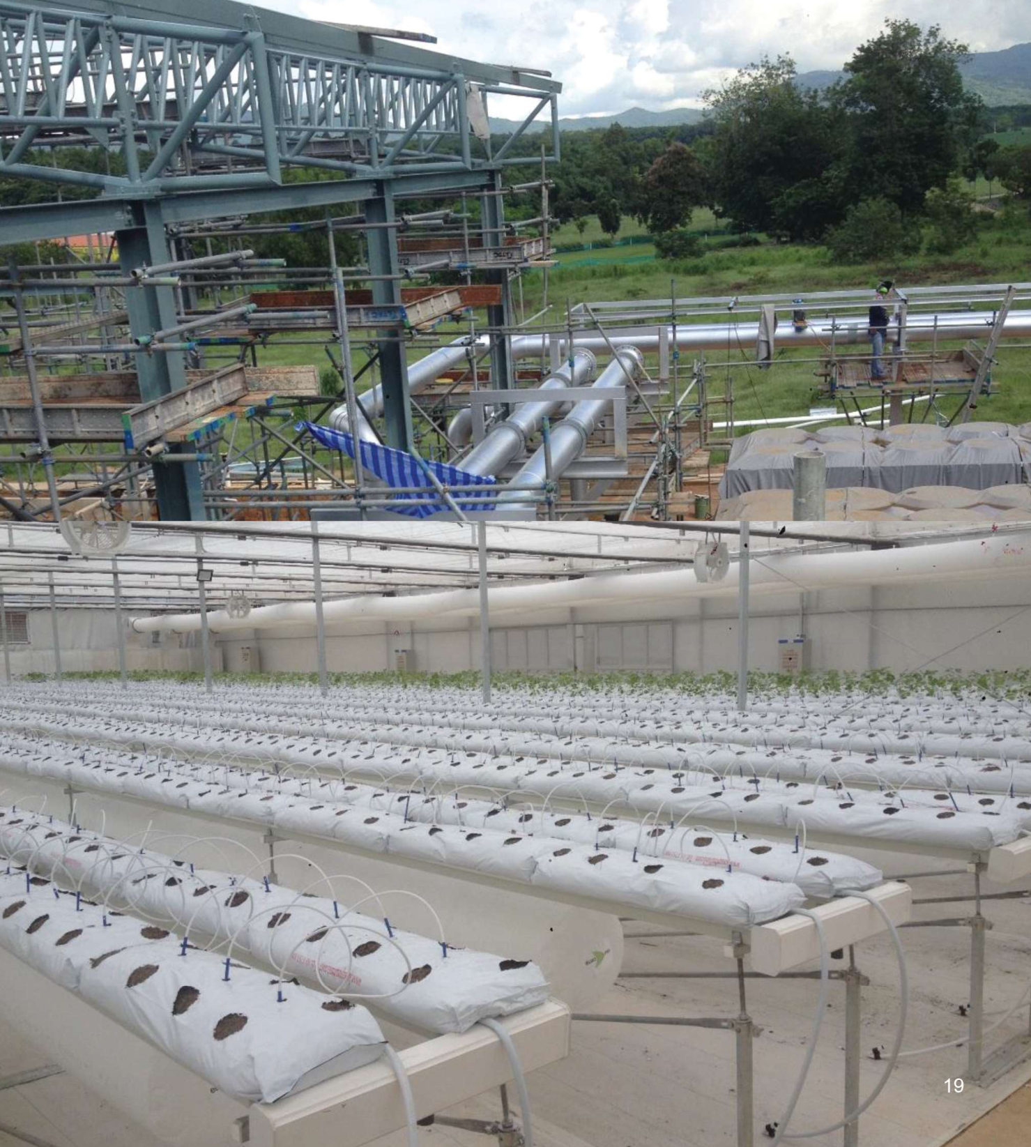โรงปลูกพืชเมืองหนาว ปตท. (PTT Strawberry Plant)